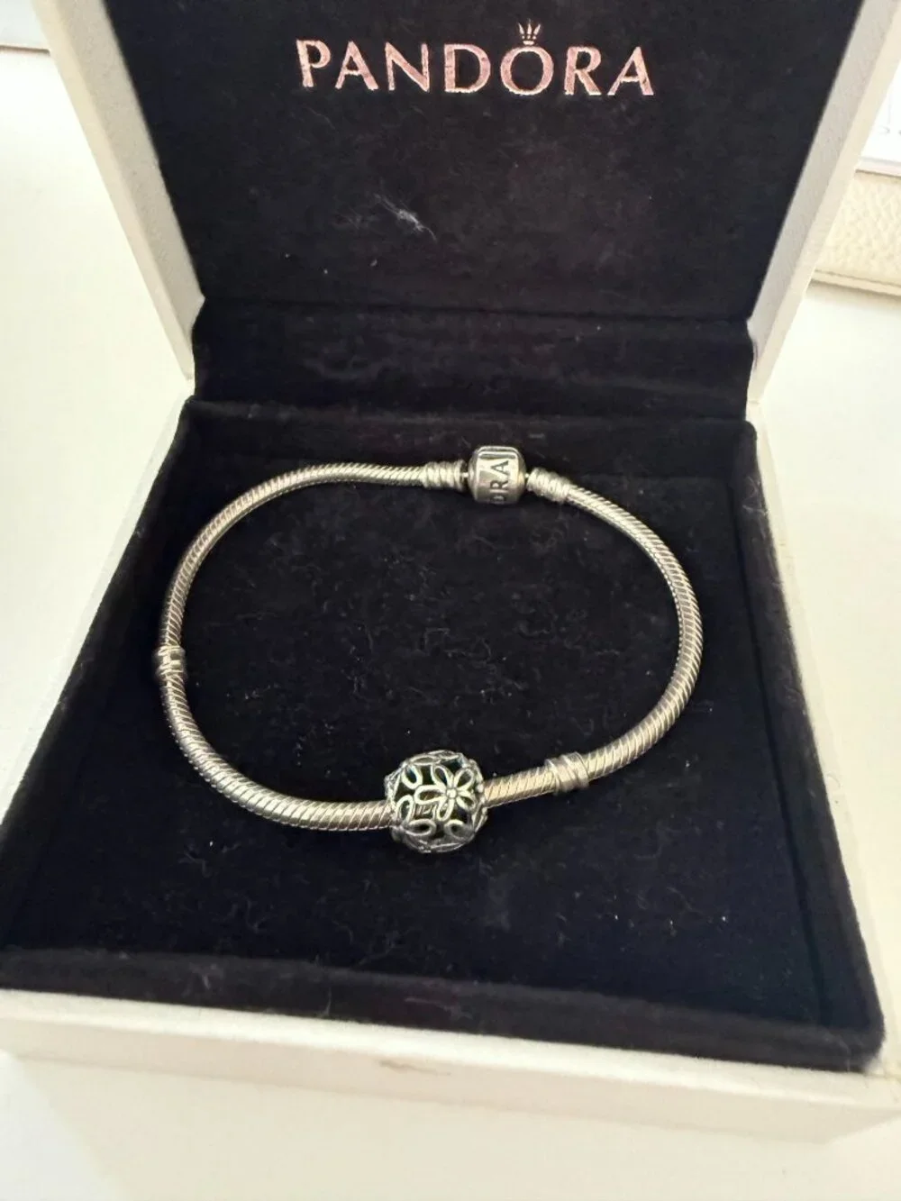 Pandora Wildflower Walk Openworks Charm